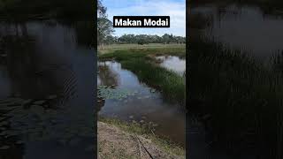 Download lagu Tgh syok, tiba2 jd mcm ni..  potong stim.. #casting #exp #haruan #prap #makanmodal mp3