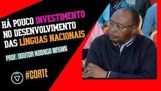 Há  pouco investimento no desenvolvimento das línguas nacionais _ Prof