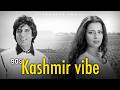 80s X 90s Kashmir Vibe Mashup Old Is Gold Old Songs 90s Love Songs Best Of Lata M Alka Udit