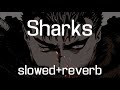 Sharks Imagine Dragons Ｓｌｏｗｅｄ Ｒｅｖｅｒｂ
