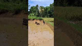 Download lagu ngararata mp3