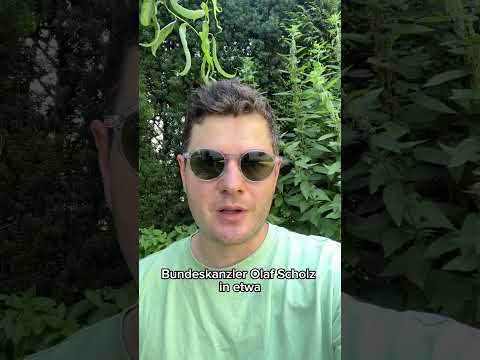 Vorschlag zur Güte #19