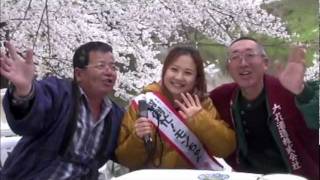 【モンちゃん04】日本一の弘前公園で花見～