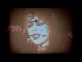 Rosegarden Funeral Party Once In A While Official Music Video