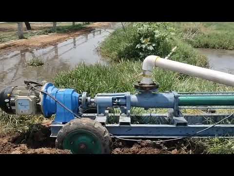 Dung Feed Pumps