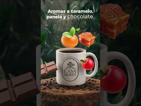 Descubre el Perfil Sensorial de nuestro Café Lavado - Casa Morêt