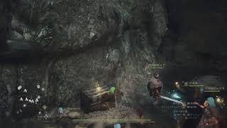 DLC向けてのドラゴンズドグマ２放送