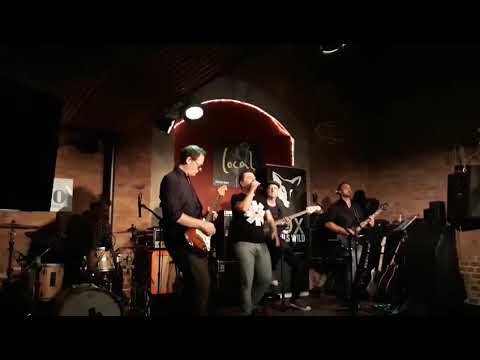 Under the bridge - Red Hot Chili Peppers Cover - Foxdevilswild