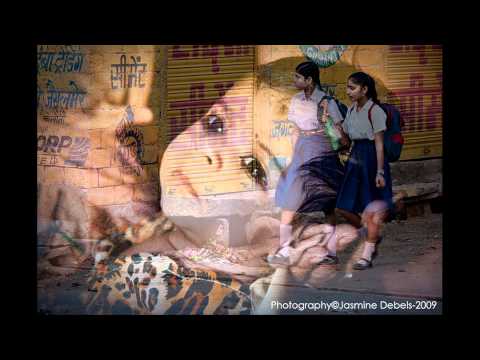 Santo Daime - Todos devem