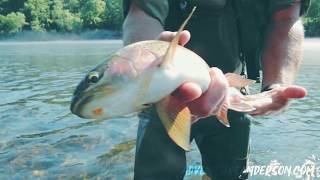 Adventure Anderson County - Get Hooked