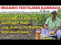 Aloe vera & fenugreek fertilizer | organic fertilizer kannada | ತರಕಾರಿ ಬೆಳೆಯಲ್ಲಿ ಬಂಪ