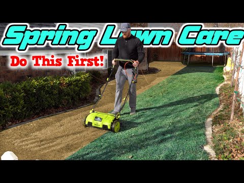 Fix Your Ugly Lawn FAST! 5 Easy Spring Lawn Care Steps That Actually Work