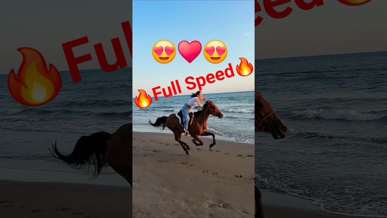 Happiness at Full Speed by the Sea! 🐎🌊🔥 #horseriding