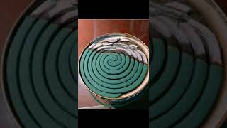 Download lagu Gara gara ikan mihi mama buang Balangan lucu poll😂🤣 mp3 Download lagu Gara gara ikan mihi mama buang Balangan lucu poll😂🤣 mp3