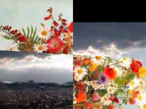 Ljuca Rustem Muratovic - Evo ovu  rumen ruzu.flv