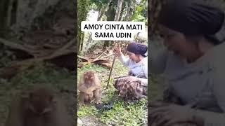 Download lagu monyet lucu #ngakak #videolucu #videoviral #minang #minanglawak mp3 Download lagu monyet lucu #ngakak #videolucu #videoviral #minang #minanglawak mp3