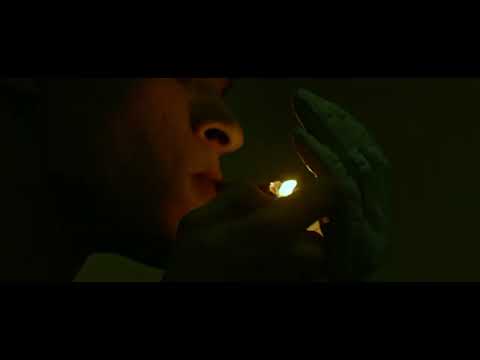 Da' Mista x SextoSentido - KROKO (Video Oficial)