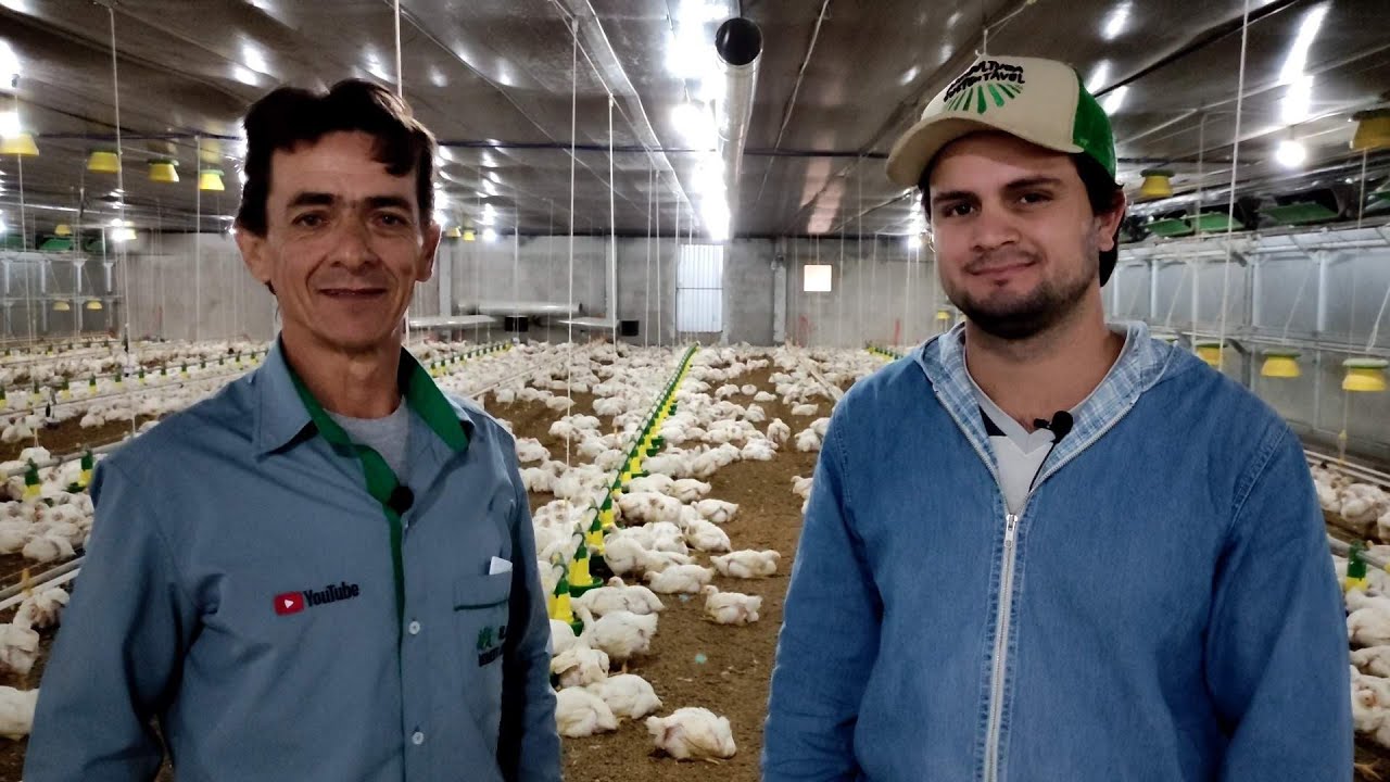 POR DENTRO DO AVIÁRIO - ENTREVISTA COM AVICULTOR YOUTUBER DO NORTE DO PARANÁ