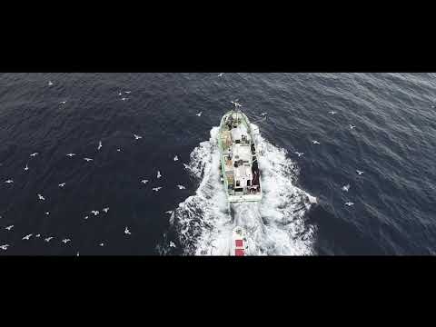 Showreel Ozodrone