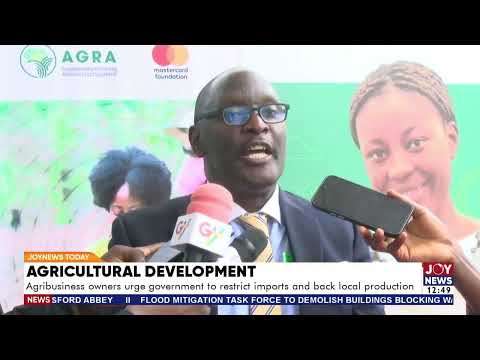 Agric Development: Agribusiness owners urge govt to restrict imports and back local production