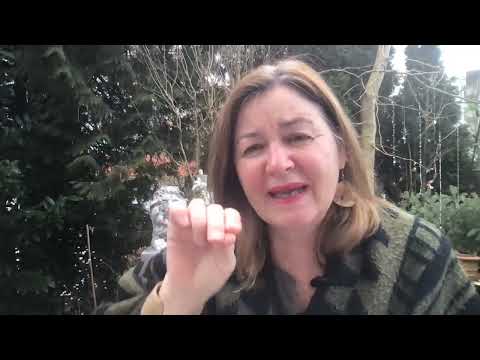 Aus dem Leben schöpfen | CATHERINES BLICK 4.2. 2022