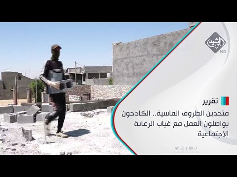 شاهد بالفيديو.. متحدين الظروف القاسية.. الكادحون يواصلون العمل مع غياب الرعاية الاجتماعية