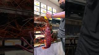 Download lagu Instaworthy Seafood Restaurant - Senibong Bay Seafood In Johor Bahru mp3