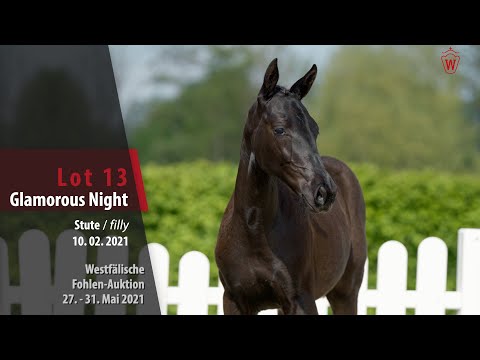 Westfälische Online Auktion-Fohlen Lot 13 GlamorousNight Stute v. Glamourdale - Dante Weltino