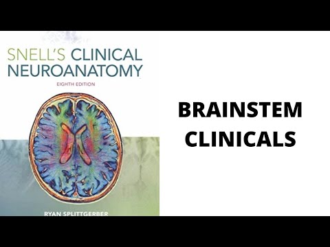 Snell Neuroanatomy: Main Clinicals of Brainstem
