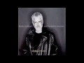 Bruce Cockburn - Wondering Where the Lions Are ...