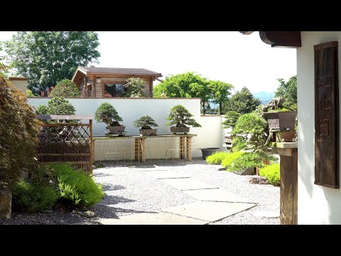 Andres Alvarez Bonsai garden, Spain