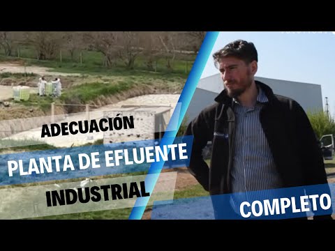 Mantenimiento de planta de tratamiento de efluentes en industria alimenticia PIALVEAR