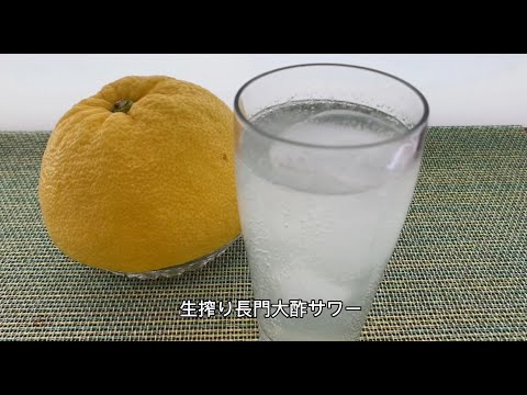 長門大酢レシピ集：生搾り長門大酢サワー【山口大学 山口・食の温故知新プロジェクト】