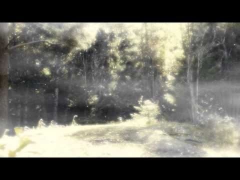 Eldamar - Galaðwen The Eldar