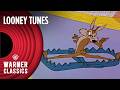 Looney Tunes Classic Wile E Coyote Vs Road Runner Mega Compilation Vol 6 Warner Classics