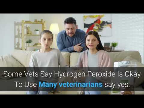 YouTube video about: Can you clean dogs ears with peroxide?