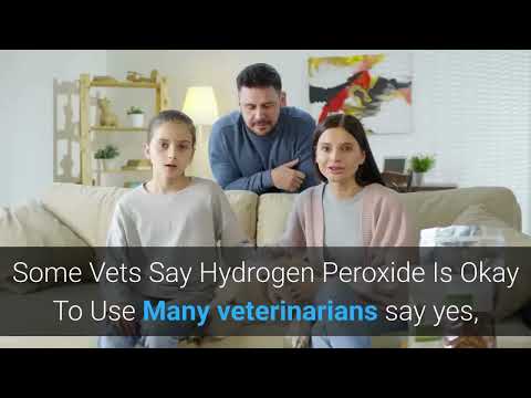 Dog ear infection home remedy peroxide | Using Hydrogen Peroxide To Clean Ears