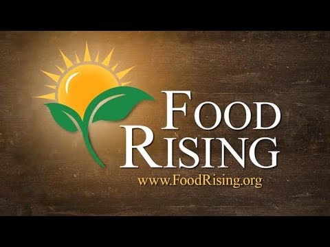 download lagu mp3 mp4 Food Rising Grow Box, download lagu Food Rising Grow Box gratis, unduh video klip Food Rising Grow Box