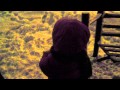 девочка, кошка и снег 