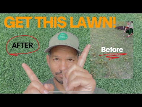 7 steps to renovating a bad Bermuda lawn!