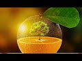 Best Photoshop Manipulation Technique Free Photoshop Tutorial 2023
