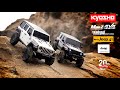 Kyosho Scale Crawler Mini-Z Jeep Wrangler Rubicon, jaune 1:24, ARTR