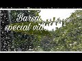 Barsat Special Video बरसात स्पेशल वीडियो By Pankaj Garhwali