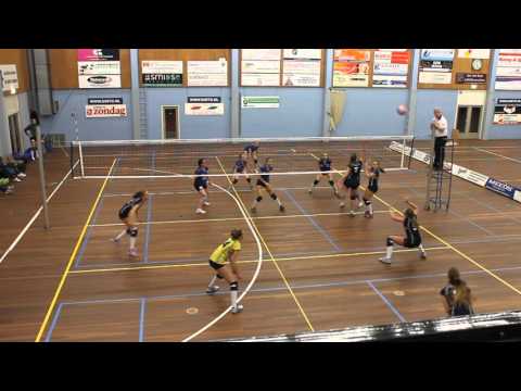 Bejo/Dinto D1 - Clam Dycke D1