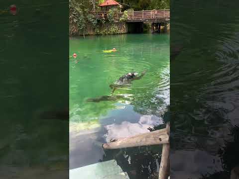 José mergulhando pela primeira vez. Rio Quente GO #hotpark #rioquente #caldasnovas