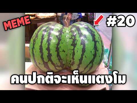 ภาพนี้ก็ฮาเหมือนกันนะเนี้ย #20 SS9 [ พากย์นรก MEME.EXE ] | easy boy