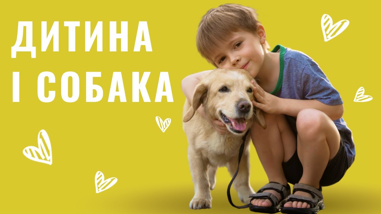 YouTube video preview