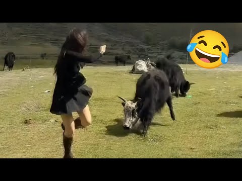 Hilarious & Silly Moments That Will Make You Laugh Till Your Stomach Hurts 😂🤣 Funny Videos 2025 #7