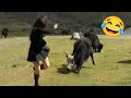 Hilarious Silly Moments That Will Make You Laugh Till Your Stomach Hurts Funny Videos 2025 7
