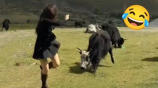 Download lagu Hilarious & Silly Moments That Will Make You Laugh Till Your Stomach Hurts 😂🤣 Funny Videos 2025 #7 mp3